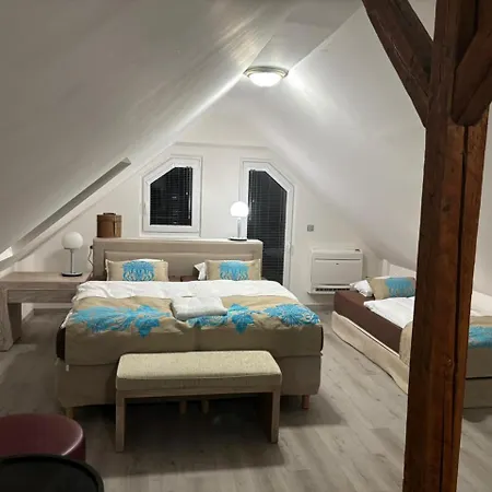 Gato Jenisov Appartement *